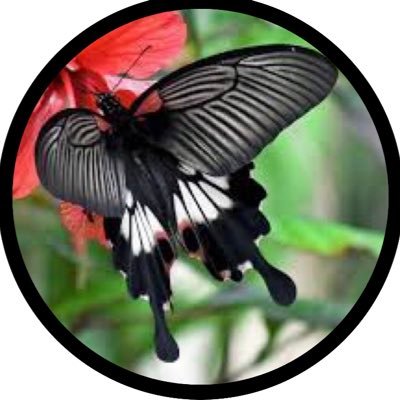 w9oPhhMx1UrrdV4's profile picture. 