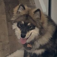 Walker (@walkahtalker) 's Twitter Profile