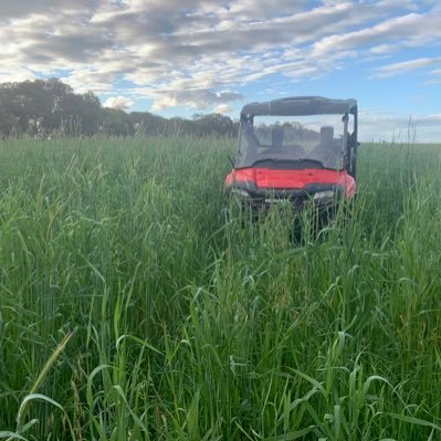 A farm business succession survivor working alongside the next generation. Husband, kids, grand kids & farming is where I fill my days in. Sheep tech too.