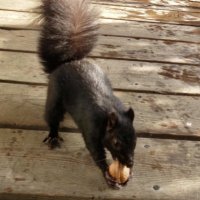 nutjob (@naughtyandnutty) 's Twitter Profile Photo nutjob (@naughtyandnutty) 's Twitter Profile Photo