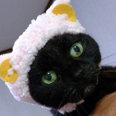 karutaaaaaaaan's profile picture. アニメ作りながらラルクさんを追いかける古のラルオタ
#201819_kids
子が４歳になりました😊無言フォロー失礼します💦