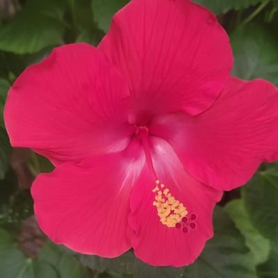 writing, plants, flowers, astronomy, stargazing metaphysics, mysticism, astrology, Mother+ Alchemist. Never stop learning ♑️☀️♎️🌙♌️⬆️🌱