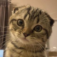 🌏🪐🐻เอดินลูกพ่อเอิร์ท🤎❤️🐻 (@theedinkab) 's Twitter Profile