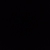 leon (@phxlgl) 's Twitter Profile