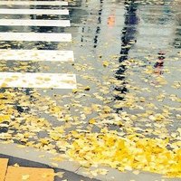 烏龍茶予備軍 (@imoimowanwano) 's Twitter Profile Photo