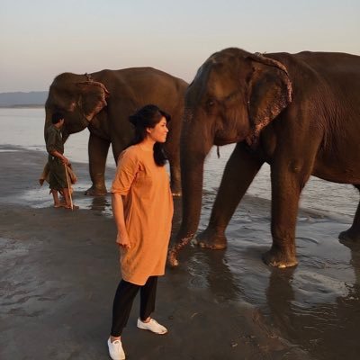 Writer । Translator | Educator । Founder of @kathasathanepal । Faculty at The Open Institute for Social Science । Kathmandu.