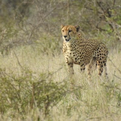 sumideogam's profile picture. dreamer...but i am not the only one!!