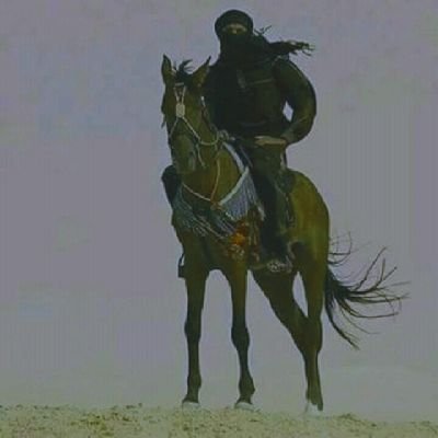 BdalhmnL's profile picture. 