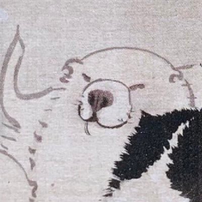 _bona_fide__'s profile picture. 院進した／国際法／情報収集