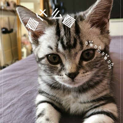 MarcoEth_'s profile picture. 盗火者。