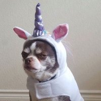 hannah (@phyophyoeain1) 's Twitter Profile
