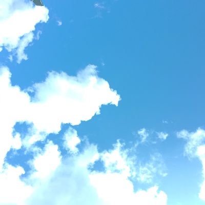 SysarieM's profile picture. BJE5KEZ6