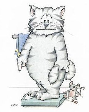 ohmaybethistime's profile picture. I've always been overweight but it has never bothered me until now. So maybe this time, the diet will work!