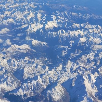 Bruno713939871's profile picture. 