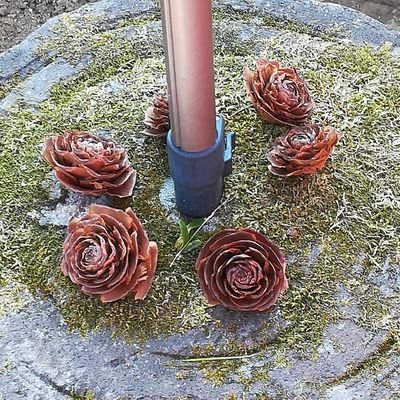 asuka_game91238's profile picture. 20↑　　ゲーム&趣味用、鑑賞用　ついついいいね&フォロー無言で失礼します。つぶやきほぼしません。リプは気が向いたら
子育てパパとママの味方がもっと増えてほしいね。。