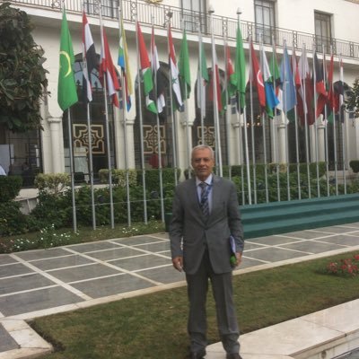 Full professor in engineering at Lebanese university Expert in Human,  Economic development and Higher education ,Member of Higher education council ,Writer