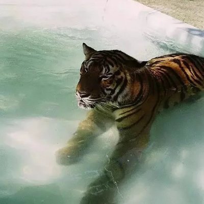 SailsburyCarter's profile picture. #ThisIsSparta 🛡️⚔️