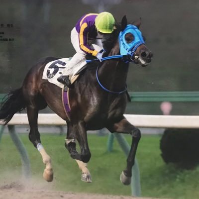 過去に早来と遠野で育成馴致騎乗を13年間してた者。現在は出生地の競馬場で、担当馬カラー水色×青色の地方調教厩務員。趣味多めで、馬関係そこそこなアカウント。レッドデクスター・ルージュルリアン(カルティカ21)を1口所有。誤字脱字多め。リプは極力控えてます。※フォロバはたまに