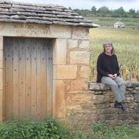 Sue Davies (@wine2trade) 's Twitter Profile