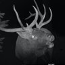 EaORTrailCam541's profile picture. We're a husband and wife duo with a trail cam addiction! All the pics posted are our own unless otherwise noted! Follow us to see our pics from EO!