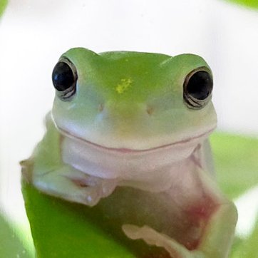 kono_yono's profile picture. 多くの方が、RAPTブログに導かれ、この世の真実を知ってもらう、きっかけになれば幸いです。https://t.co/Xl5Ai3AOTl
https://t.co/uL5d1MkTCM  https://t.co/TJsisqT7a8