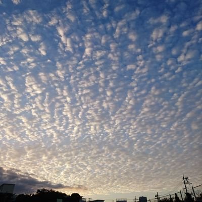 edededy43's profile picture. 