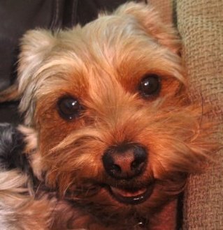 rachaelsmith09's profile picture. 