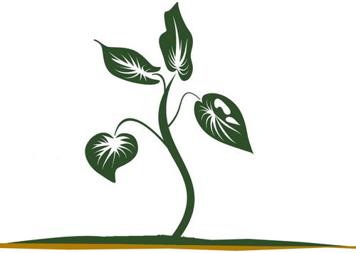 mustardseedbec's profile picture. 