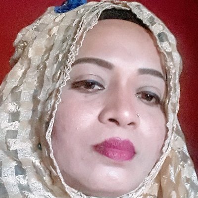Iam a Adv.shahina abed. judge Court, Chittagong, Bangladesh. I am an advocate at work but my hobby is digital marketing.I love to work on this side. Thanks
