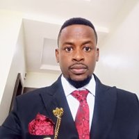 Chinonso Christian Odebeatu (@codebeatu) 's Twitter Profile Photo