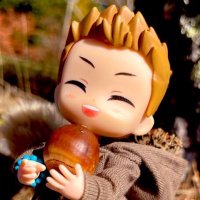 roy🐿 (@61spn_tomo) 's Twitter Profile