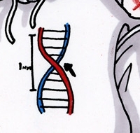 GeneticLupusMk3's profile picture. It's not the end of the world. But you can see it from here.