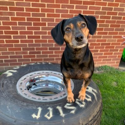 robin_popa's profile picture. 