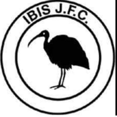 IbisYouth's profile picture. Ibis Youth team playing in the Westmorland u18 league and Westmorland County Cup Champions 20/21