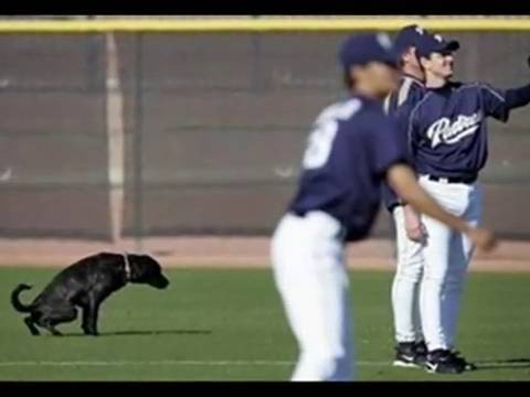 LISAhenry5's profile picture. I am cool person, take a spoon of fun and mouth full of smile before BF :P