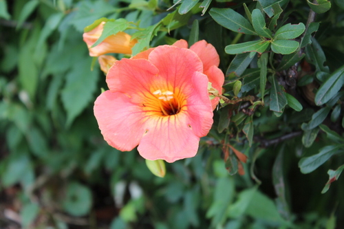 merosuchan's profile picture. モーニング娘。、ハロプロ、ももクロが好きでもはやアイドルオタクを否定することはできない。
野球についての知識なら誰にも負けない。
社会人になったけどねーとりあえずがむしゃらに頑張ります。