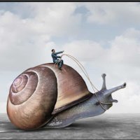 bulledogre (@bulledogre) 's Twitter Profile