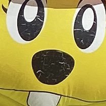 omochihasiroi's profile picture. 狂　🥂✨