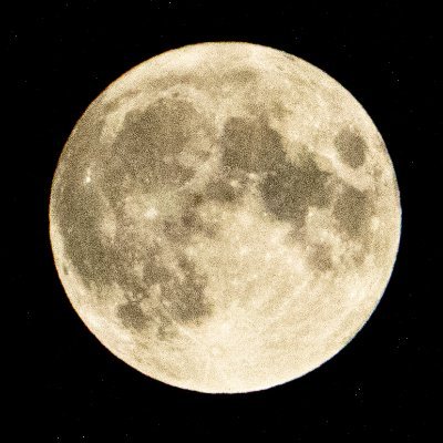 月まるさんのプロフィール画像