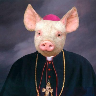 Tomasz24564183's profile picture. Zwierzolub.....pisout##
⭐⭐⭐⭐⭐  ⭐⭐⭐ konto 5❗❗