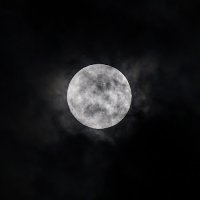 sherlock (@sherlock0022s) 's Twitter Profile