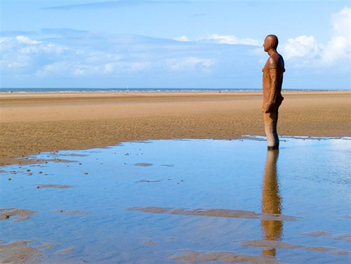 JanmaDavis's profile picture. 