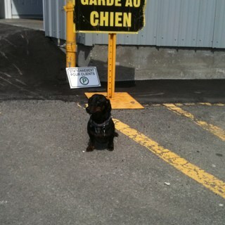 louiss44's profile picture. 