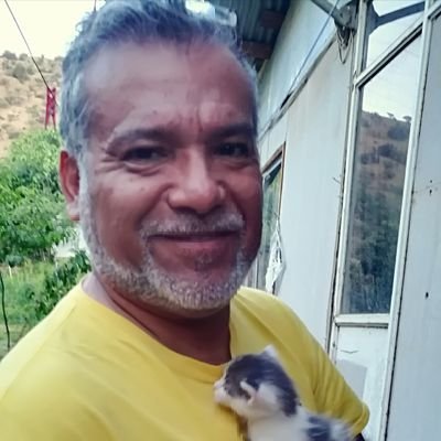 Colegio Municipal, Técnico, Ingeniero, Privado, Fiscal, Independiente, Padre y divorciado. Amo mi Libertad aunque tiene su precio.. Respeto sobre todo...