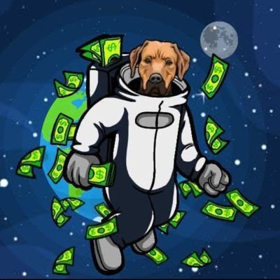 Sale_RIDGE's profile picture. $RIDGE boy 🚀