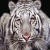 iTweetW0nders's profile picture. #TeamFollowBack #500ADay #InstantFollow #AutoFollow #TeamAndroid #TeamLakers