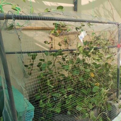 zaed1218's profile picture. لا