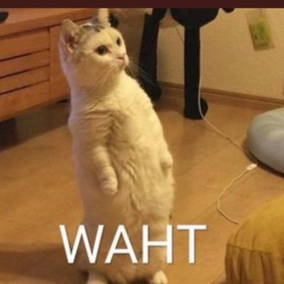 zatie212's profile picture. Hamba Allah | Pharmacist