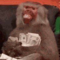 Mr Crypto Casino (@mrcryptocasino) 's Twitter Profile