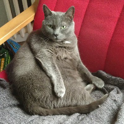 _marionS's profile picture. Amatrice de jeux vidéos🎮  | Genre et Féminisme | Environnement | Numérique
Couverture : Jeanne Dielman, 23, quai du commerce, 1080 Bruxelles 🎬 Chantal Akerman